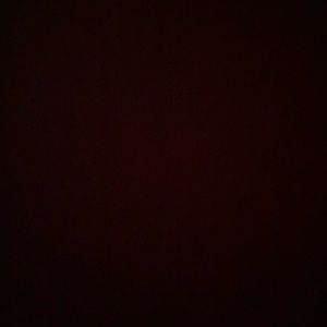 Meet your Posher, Alan